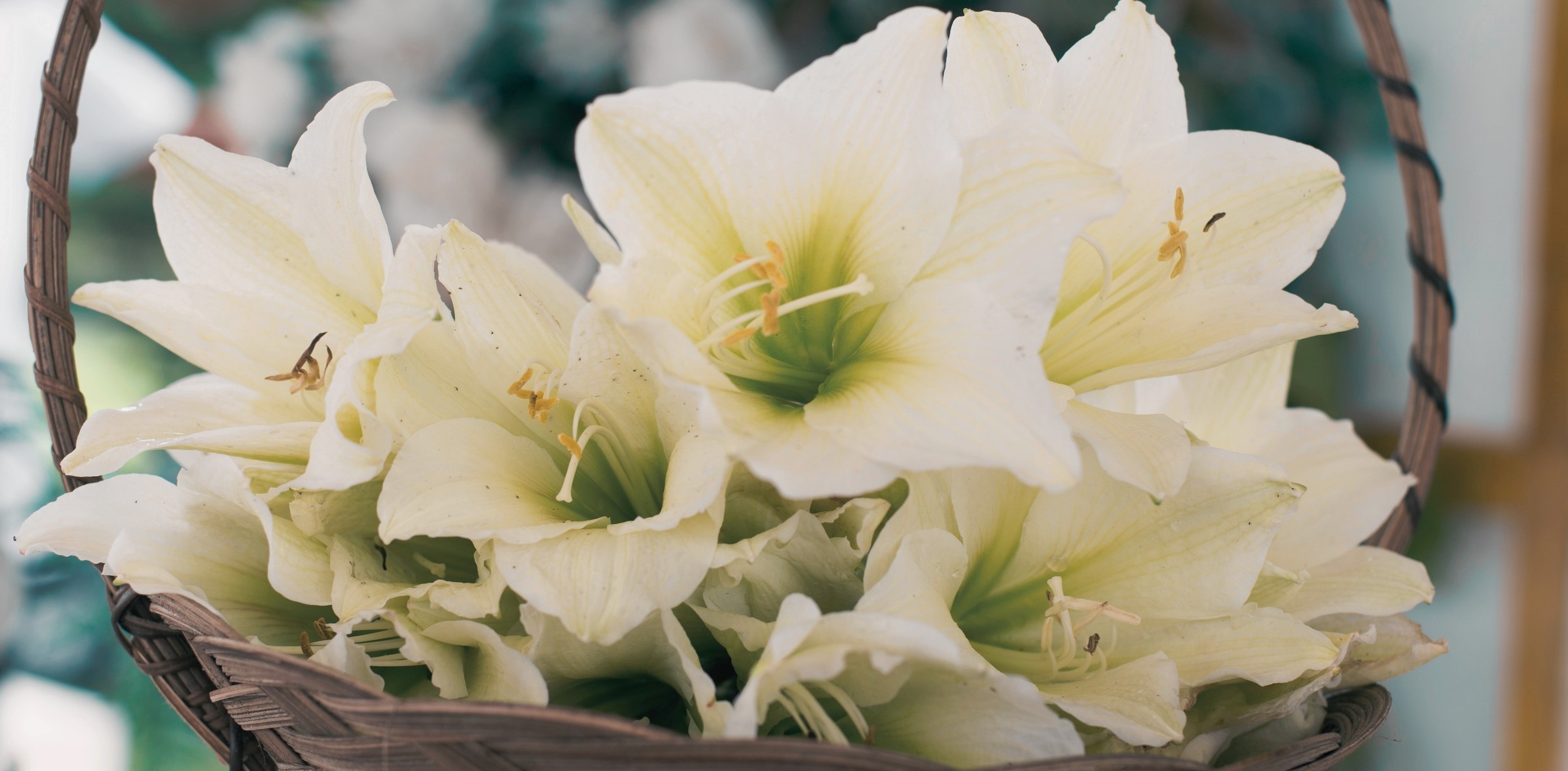 Flower Basket