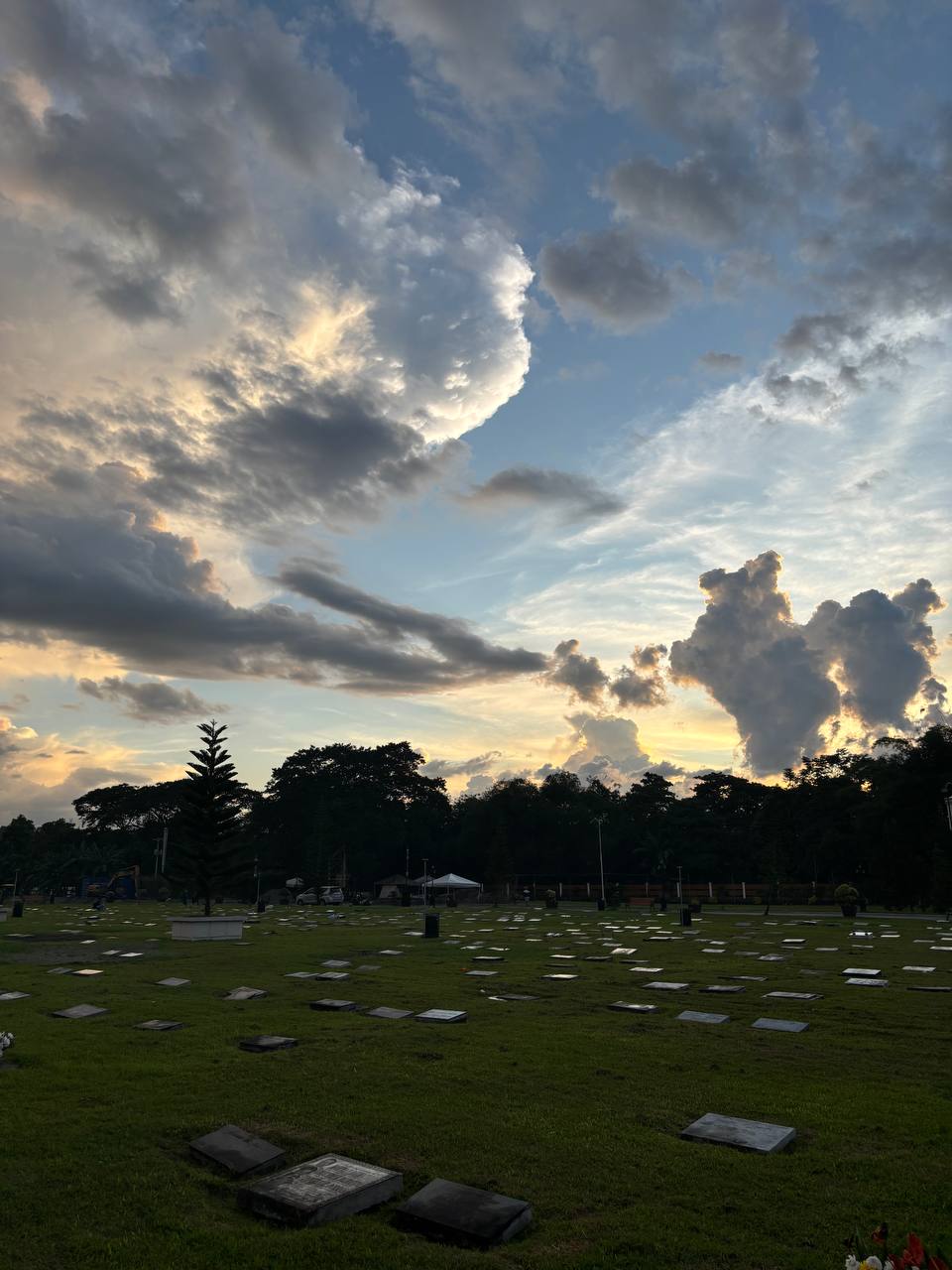 Lawn Lots