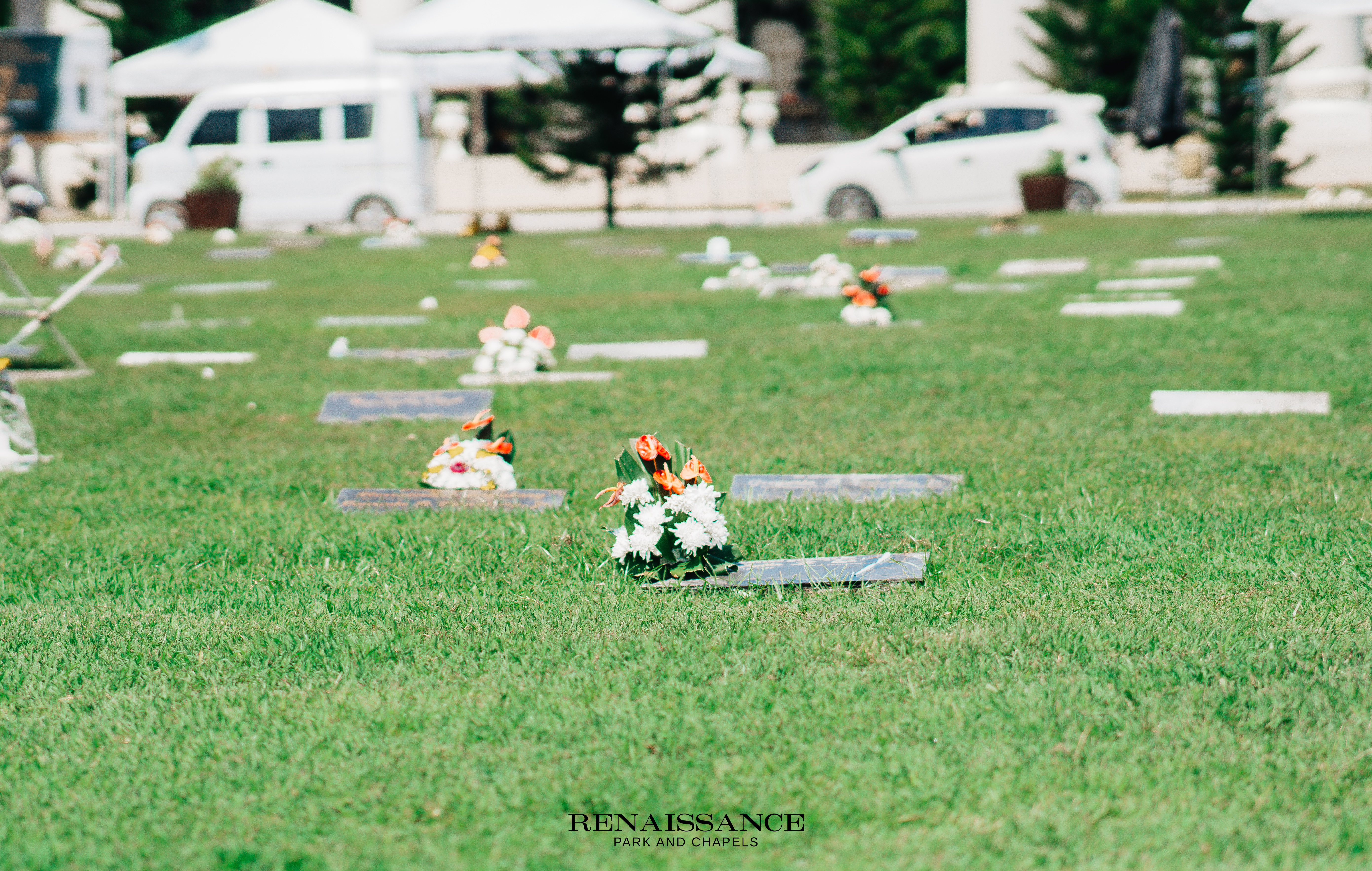 Lawn Lots 1