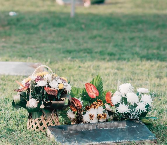 Lawn Lot Image